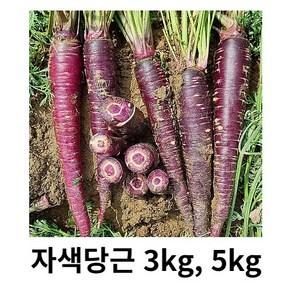 # 자색당근 3kg 1kg_국내산 산지 직송 아삭아삭한 식감 좋은 달달한 보라당근 흙당근 당근 자색당근즙 자색당근주스 자색당근분말, 1kg, 1개