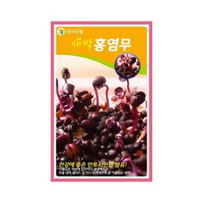 (DN) 새싹 홍염무 씨앗(12g), 1개