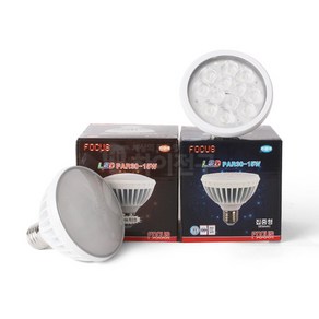 포커스 LED PAR30 15W, 1개, 주광색/확산형