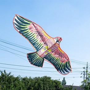 독수리 연날리기 120CM (대형) 조류퇴치 허수아비 가능, 1개, 색상랜덤