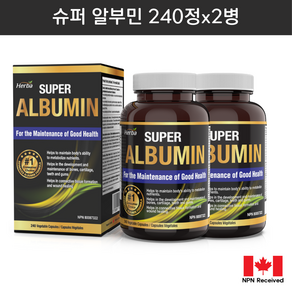 알부민 480정 고함량 슈퍼 캐나다 albumin 로얄제리 인삼 밀크씨슬 외 총 16가지 프리미엄 성분 허바 캐나다, 240정, 2개