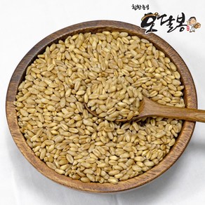 힘찬농부오달봉 국산 통밀, 5kg