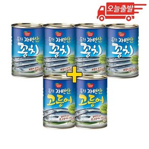 오늘출발 동원 꽁치 4개 + 고등어 2개 300g (총 6개), 6개