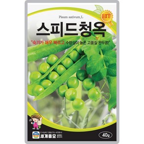 산들마켓 스피드청옥 완두콩씨앗 40g 숙기가 매우 빠른 수량성 높은 조생종 완두콩씨 종자, 1개