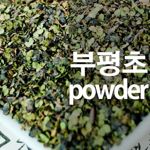 부평초가루 개구리밥 분말, 100g, 1개, 1개입