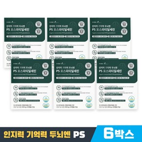 포스파티딜세린 PS 기억력 인지력 케어 포스타디딜세린 포스파디딜세린 포스트파티딜세린 징코 두뇌 건강 300mg 식약청인증, 1세트, 360정