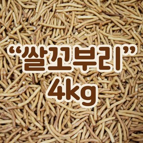 쌀꼬부리 4kg 까불이오란다 오란다만들기 오란다, 1개