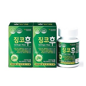 징코후 500mg 은행잎추출물 혈행개선 기억력개선, 3박스, 120정