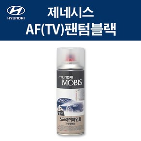 현대 순정품 제네시스 AF TV 팬텀블랙 스프레이 287 자동차 차량용 도색 카페인트, AF(TV) 팬텀블랙 스프레이(모비스), 1개