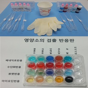 오피스안 영양소검출반응실험키트(2인1조 4인1조실험)지시약을통한영상소검출 3대영양소검출키트