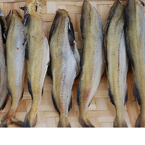 포항마트 반건조 노가리 중 / 조미노가리 반건조 두절 노가리 간식 술안주 맥주안주 주전부리, 1개, 조미노가리_중_1kg