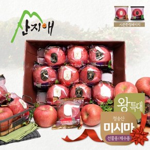 씻어나온 꿀사과 4kg 1box (왕특대과) / 경북산 미시마 당도선별, 1개