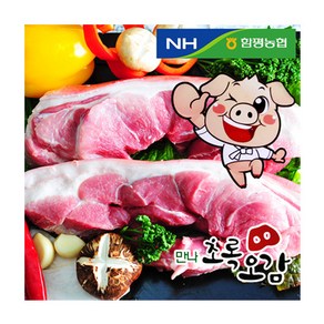 함평농협만나초록오감 앞다리살, 1개, 500g 수육용