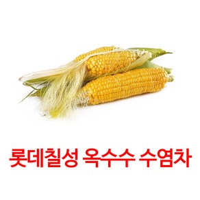 가벼운 매력 옥수수 수염차