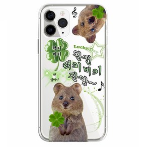 (젤하드) 쿼카 럭키비키 행운 네잎클로버 웃긴 병맛 PPT 투명 젤하드 케이스