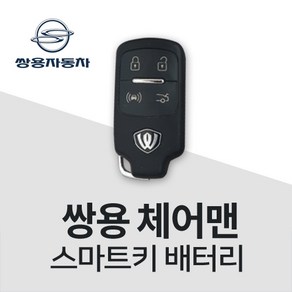 체어맨 스마트키 건전지 키 전용배터리 차키 건전지 밧데리, 3개