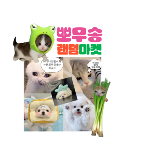 팬시 도무송 강아지 고양이 냥이 뽀무송 스쿱마켓 랜덤마켓 랜덤박스 아이브 덤 예쁜 프리쿠라