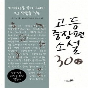 [개똥이네][중고-상] 고등중장편소설 30 (상)