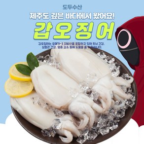 제주도 제철 갑오징어 4마리 1kg 특사이즈, 300개