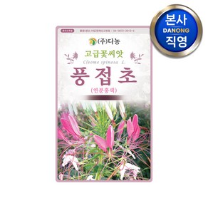 풍접초 연한핑크색 씨앗 0.5g(200립) . 족두리꽃 백화채 클레오메 꽃씨 종자, 1개