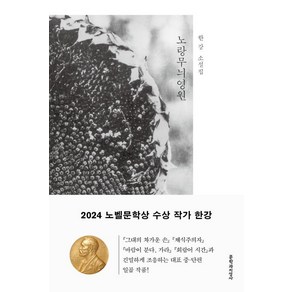 노랑무늬영원 - 2024 노벨문학상 수상 작가 한강 저자 책