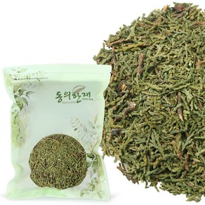 동의한재 국산 측백엽 측백나무잎, 500g, 1개