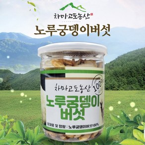 100%국내산 건조 노루궁뎅이버섯 100g [차마고도농산], 1개