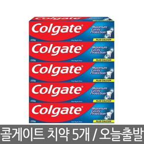 콜게이트 치약 250g x 5개 그레이트 레귤러 플레이버 코스트코 개운한 불소 치약 입냄새