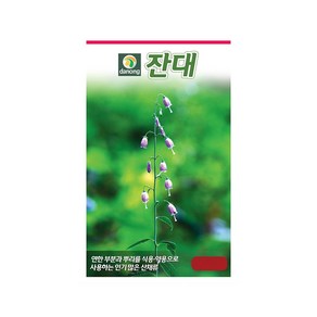 (DN) 잔대 씨앗(1000립), 1개