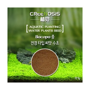 그린오시스 전경 씨앗수초 [9g], 1개