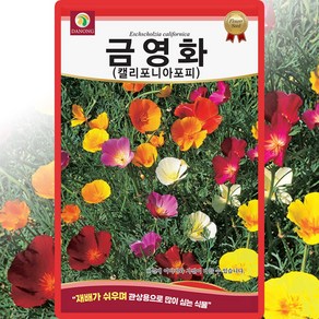 다농 금영화 캘리포니아포피 씨앗 1g 양귀비 씨 꽃 종자