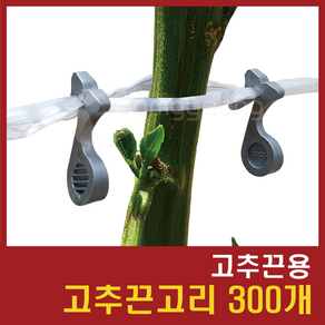 고추끈고리 / 고추끈용 / 300개, 1개