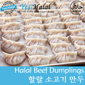 Yes!Global Halal Beef Dumplings 할랄 소고기 만두 (500g Handmade 핸드메이드)