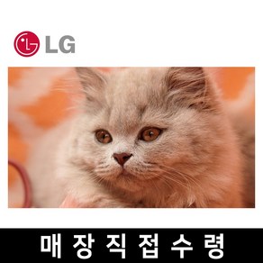 LG 75인치 4K 스마트 UHD TV 75UQ7070 OTT 유튜브 핫딜, 고객직접설치, 스탠드형