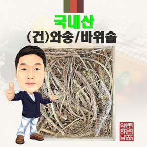 국내산 (건)와송/바위솔 300g (경북 영천) 국산, 1개