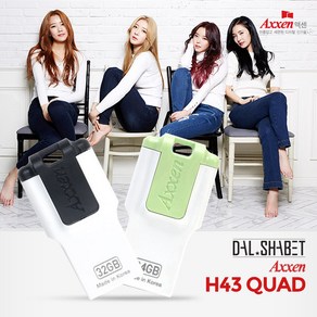 액센 H43 QUAD 4GB USB메모리 그린 (단자노출형), 1개