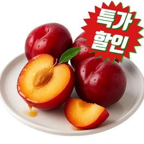 [산지직송] 초특가 과즙팡팡 김천 자두, 1박스, 고당도_1kg(30-40과)