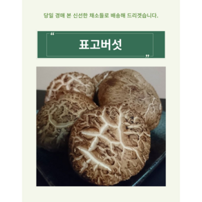 표고버섯 생표고버섯 국내산 파지 상품 특품 500g 1kg, 1개, 표고버섯 상품 500g