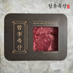 [당일발송] 1+등급 원뿔 고급 한우 채끝살 구이용 스테이크용, 300g, 1개, 중간(2cm)