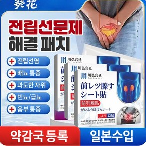 {당일배송 99.99 힐링} 빠르고 효과적인 전립선 패치 치료  빈뇨증  전립선염  방광염  요통  OY031, 2개입, 12개