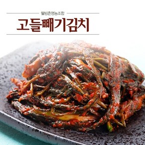 [웰빙촌]여수고들빼기, 2kg, 1개