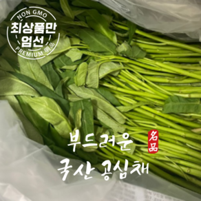 산지직송 공심채 모닝글로리, 1개, 500g