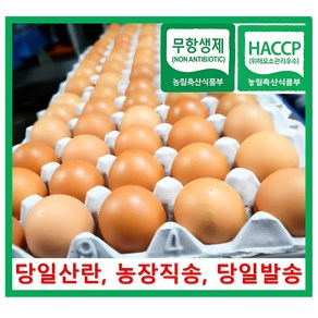 [알부자집] 무항생제계란 대란(52g~59g)