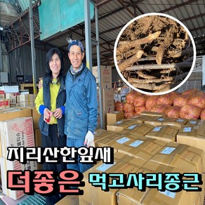 한잎새 먹고사리모종 (묘목) 10kg