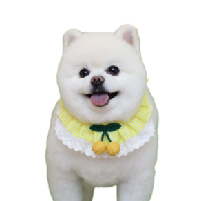 하니펫 반려동물 귀요미스카프 뜨게체리레이스, 노랑, 1개