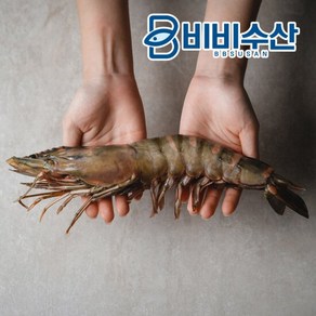 프리미엄 킹타이거새우 1kg 4미, 1개