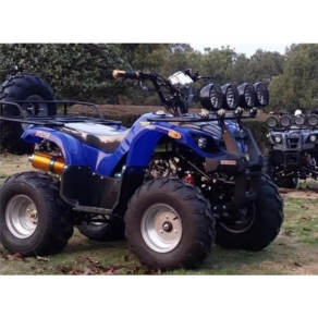 사륜 4륜 바이크 사발이 농업용 효도상품 125cc atv, 블루