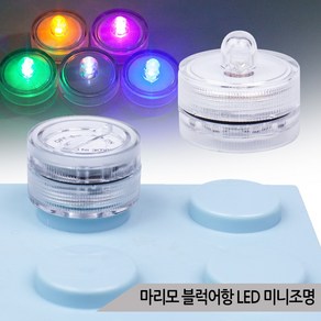 마리모 블럭어항 LED 미니조명 5종 DIY 소형 전구, 1개