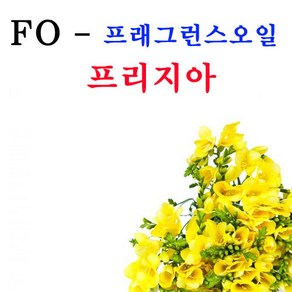 코리아씨밀락 프래그런스오일 프리지아향, 프래그런스오일 프리지아향 10ml, 1개