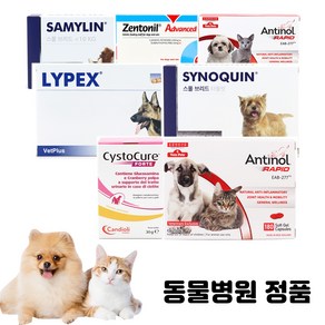 베츠페츠 베토퀴놀 벳플러스 버박 넬라펫 강아지 고양이 영양제 신장 관절 오메가3 유산균 칼슘 레날 안티놀래피드